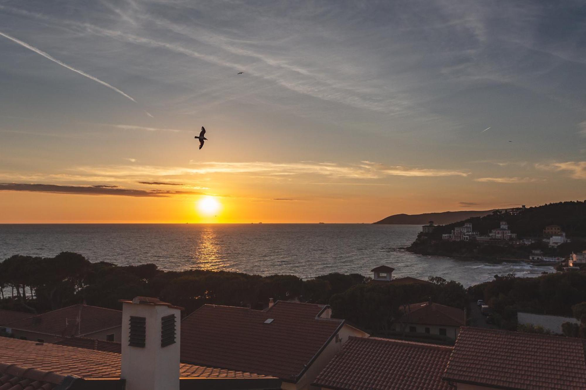 Villa Martini Castiglioncello Dış mekan fotoğraf